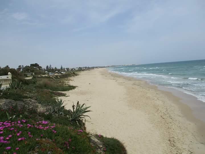 Le Lagon De Hammamet Exterior foto